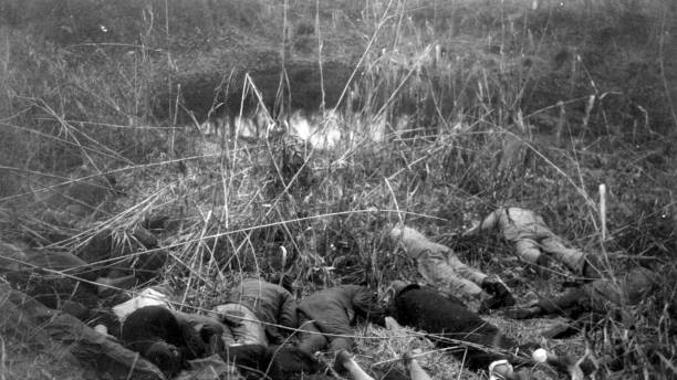 The Devastating Truth of the Nanking Tragedy The Devastating Truth of the Nanking Tragedy