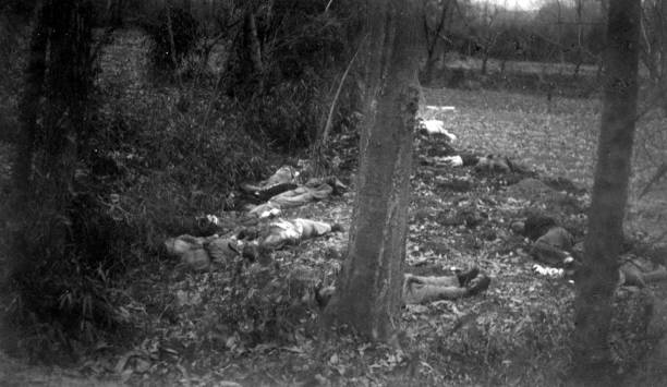 The Devastating Truth of the Nanking Tragedy The Devastating Truth of the Nanking Tragedy