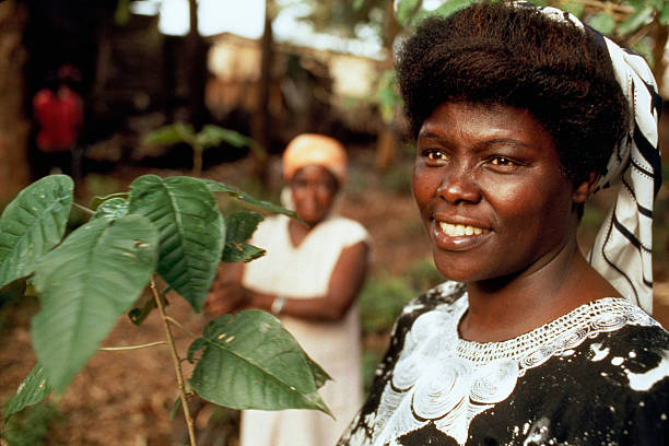 Wangari Maathai- The Brave Women