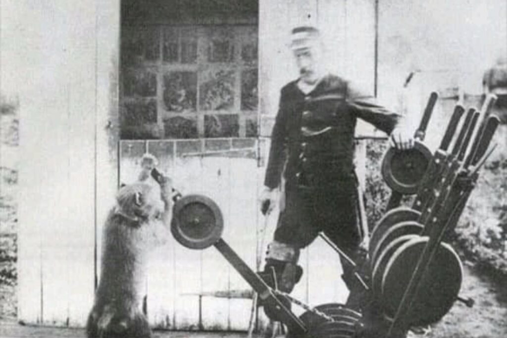 Fascinating Facts You May Not Know From History