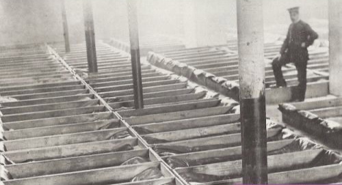 Fascinating Facts You May Not Know From History