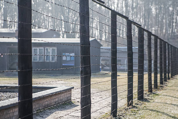 Stutthof Trials: The Powerful Reminder for Human Rights