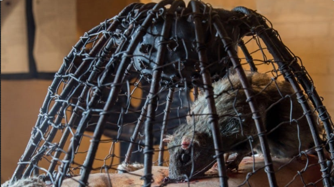 The Most Horrifying Forms of 15 Executions in History